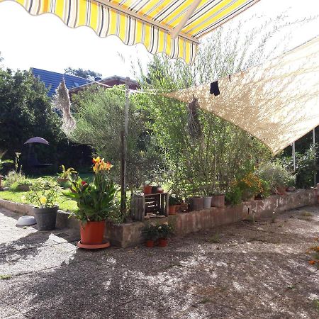 Ferienwohnung Lerchennest Georgensgmund Екстер'єр фото